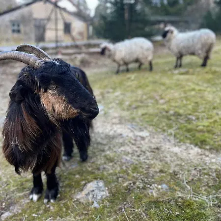 Σαλέ Les Bleuets 12p - Babyfoot & Wii