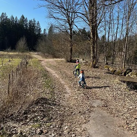 Les Bleuets 12p - Babyfoot & Wii Σαλέ