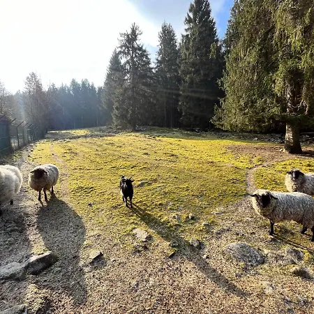 Les Bleuets 12p - Babyfoot & Wii Σαλέ *