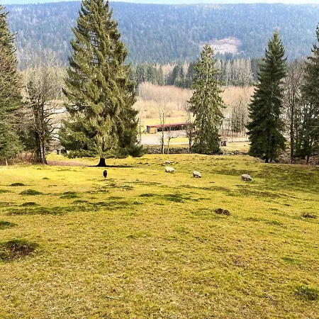 Σαλέ Les Bleuets 12p - Babyfoot & Wii Gérardmer