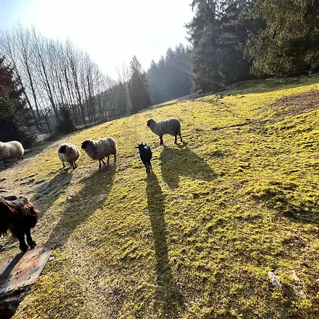 Les Bleuets 12p - Babyfoot & Wii * Gérardmer